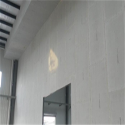 南开新型建筑材料掺多种工业废渣的ALC|ACC|FPS模块板材轻质隔墙板